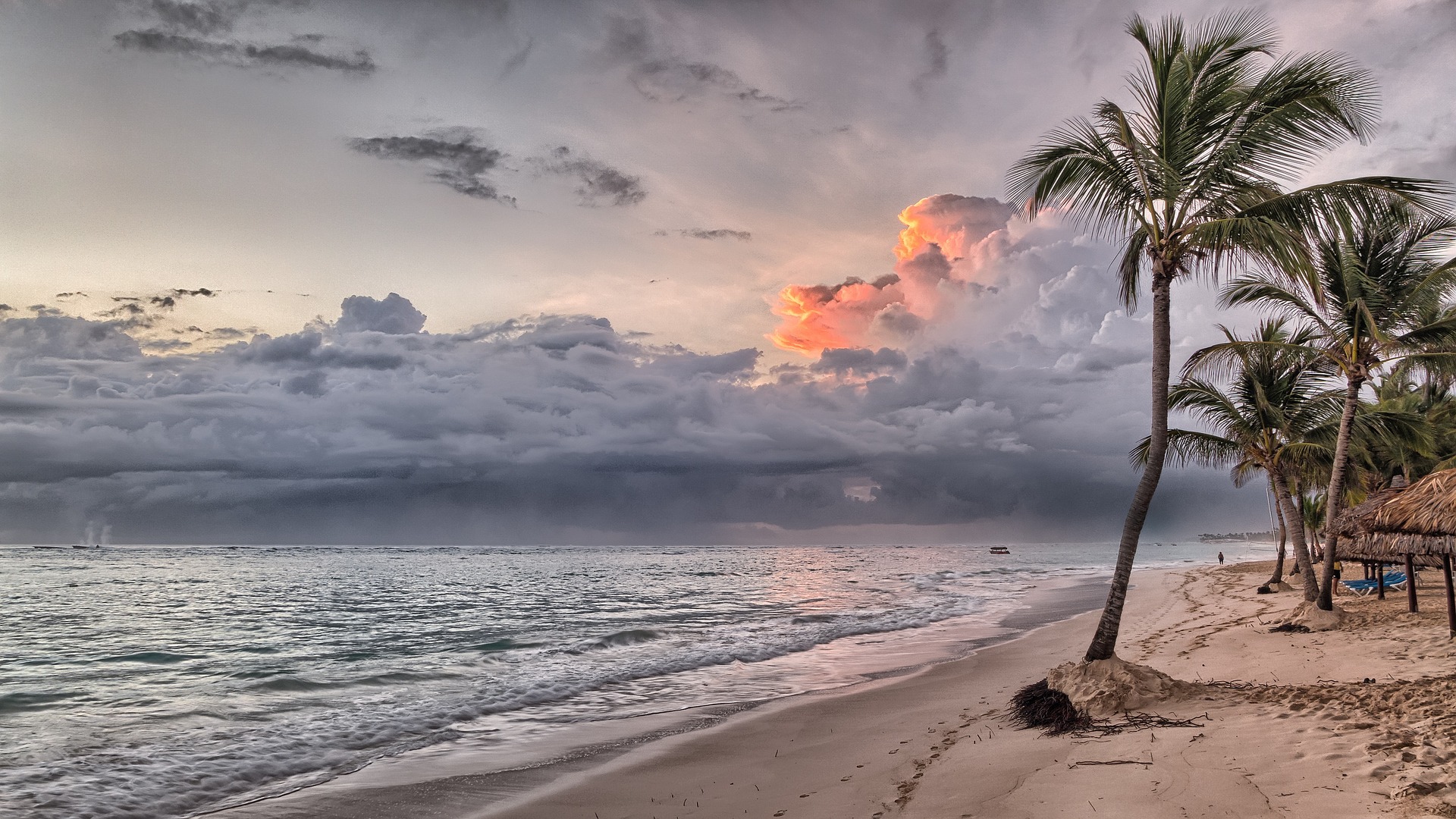 miami sunset